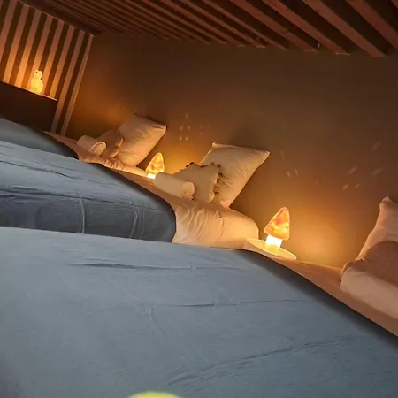 Lejlighedshotel Le Balme Lyon