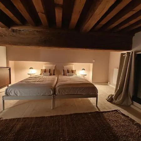 Le Balme Lejlighedshotel Lyon